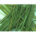 ORGANIC NATURAL ŻUBRÓWKA GRASS FOR 5-10 LITERS
